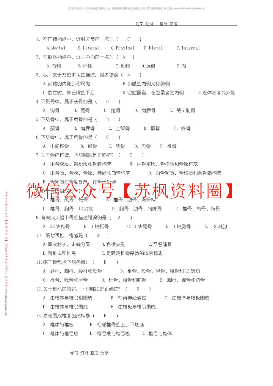 功能解剖学